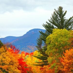 autumn road in the white mountains of new hampshire in autumn.