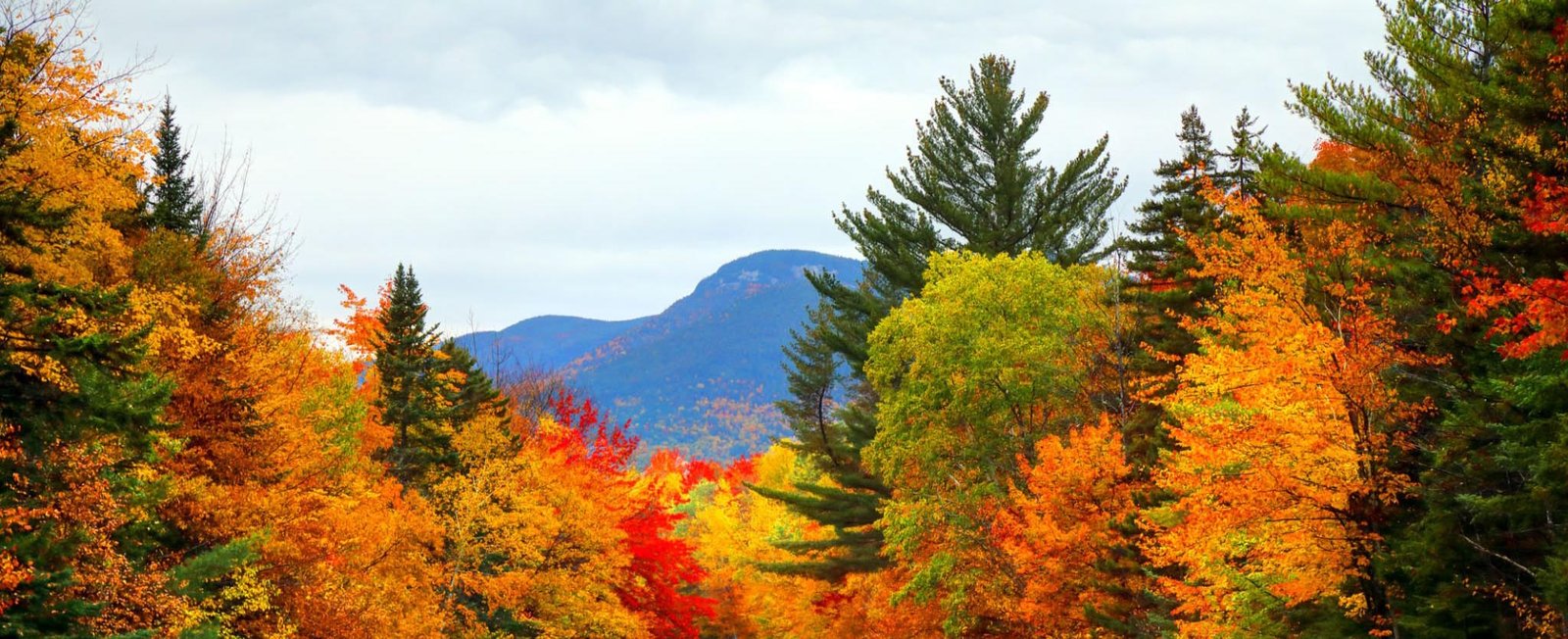 autumn road in the white mountains of new hampshire in autumn.